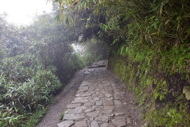 Camino a la ciudadela Inca de Machu Picchu en Perú