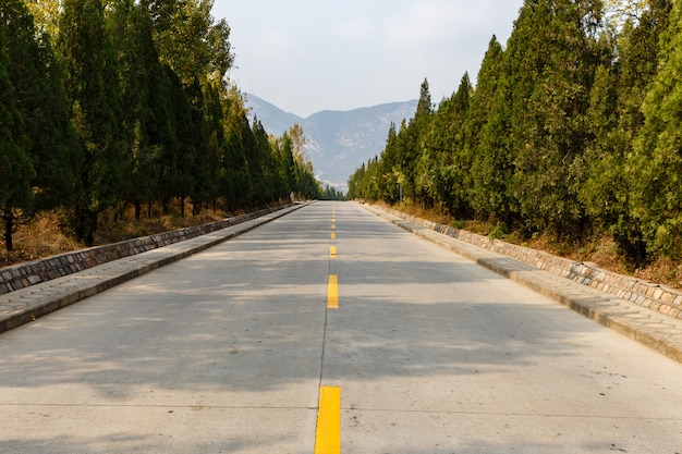 Camino de concreto con una línea de marcado amarillo a través de un bosque en las montañas