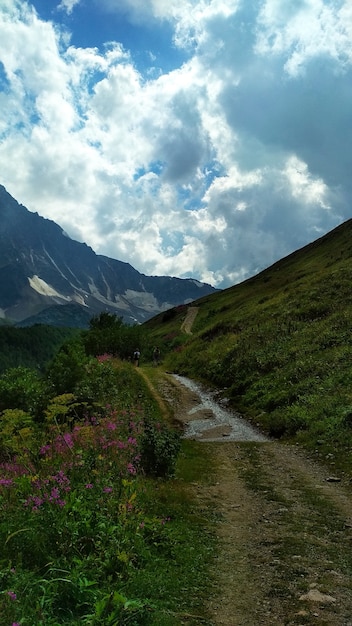 el camino conduce a la cima de la montaña