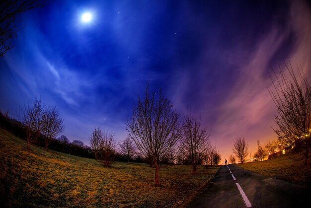 El camino contra el cielo por la noche