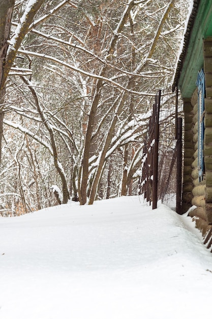 Camino cubierto de nieve en el bosque de invierno