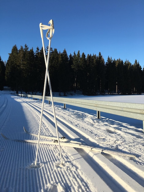 Camino cubierto de nieve contra un cielo azul claro