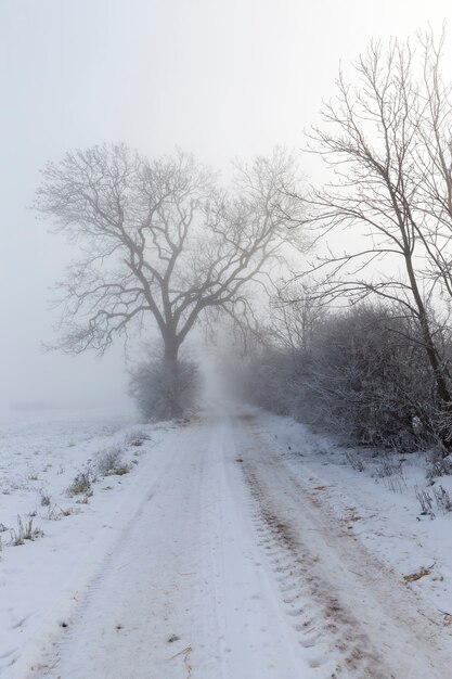 Un camino cubierto de nieve en invierno.