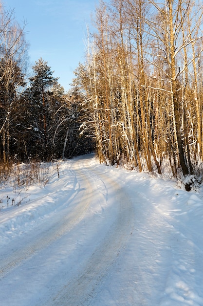 El camino cubierto de nieve durante el invierno.