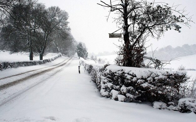 un camino cubierto de nieve con un letrero que dice nieve