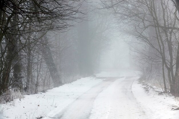 Un camino cubierto de nieve en la temporada de invierno.