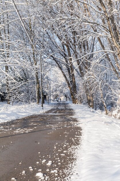 Camino cubierto de nieve