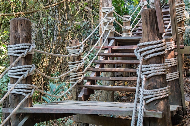 Camino de cuerda en el bosque