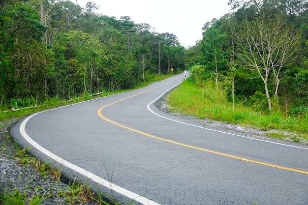 Camino curvado hasta la montaña