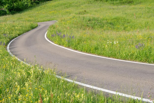 Camino con curvas de montaña