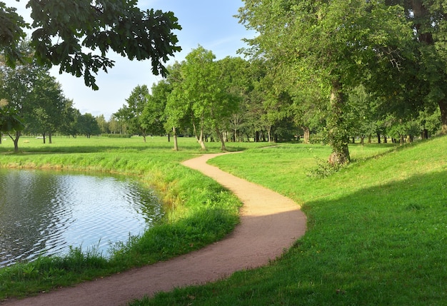 Camino curvo en el Parque. Orilla del lago con árboles verdes y pasto