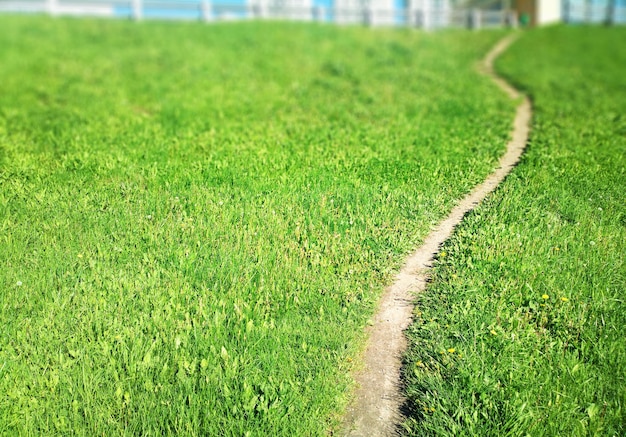 Camino curvo sobre fondo verde bokeh de césped de verano