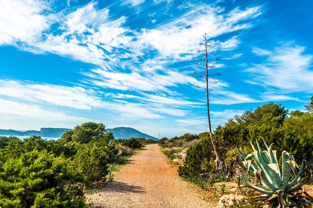 El camino dentro del parque.