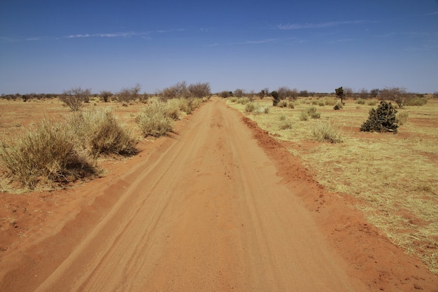 Camino en el desierto de Sudán