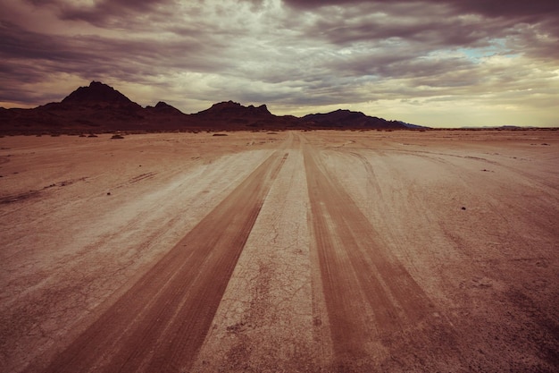 Camino en el desierto