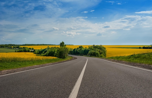 Camino en un día de verano en campos de colza de campo amarillo con cielo azul