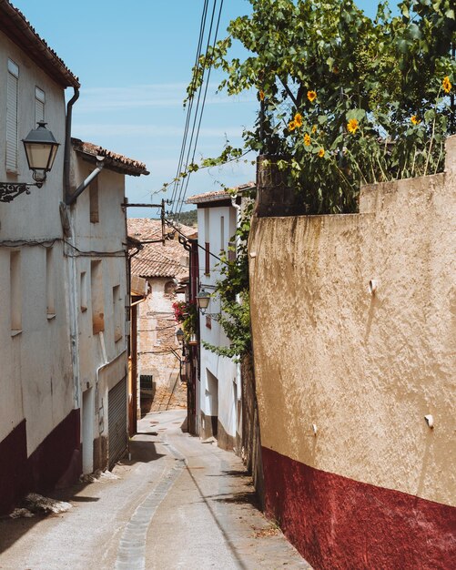 Foto camino entre edificios contra el cielo