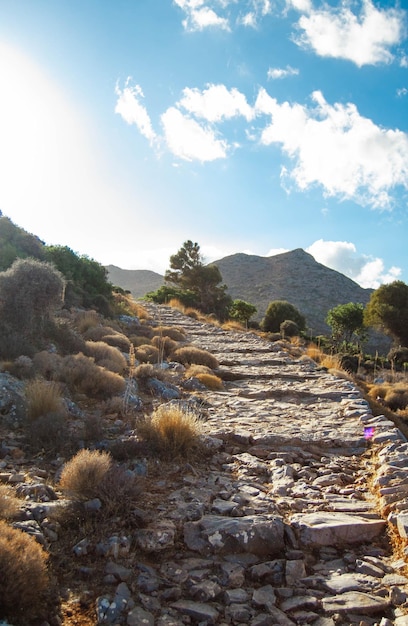 Camino empedrado en las montañas entre rocas árboles y arbustos secos isla de Creta Grecia