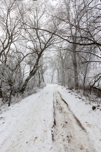 El camino es peligroso y resbaladizo después del frío y las heladas, un camino cubierto de nieve en la temporada de invierno.