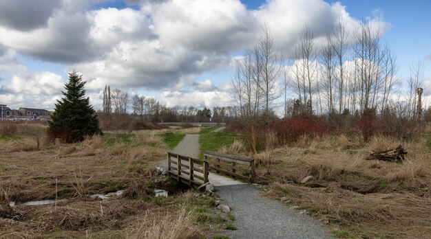 Camino escénico en un parque con campo verde y árboles en una ciudad