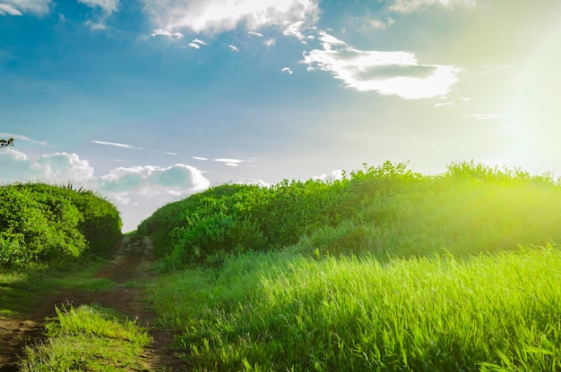 Camino estrecho en el campo un pequeño camino de tierra en el campo con espacio para copiar