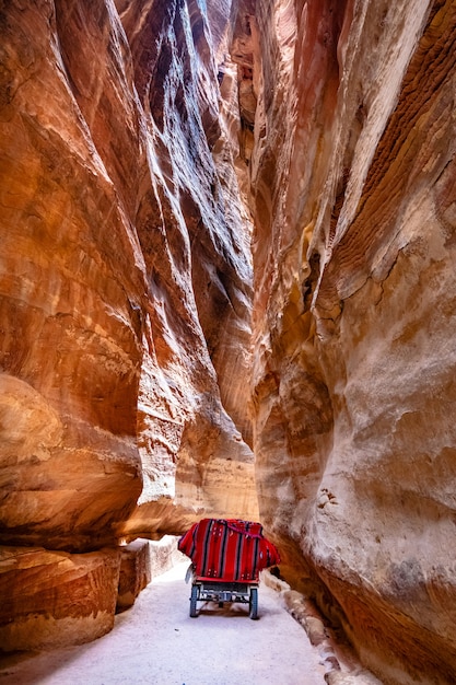 Camino estrecho con carreta en Jordania