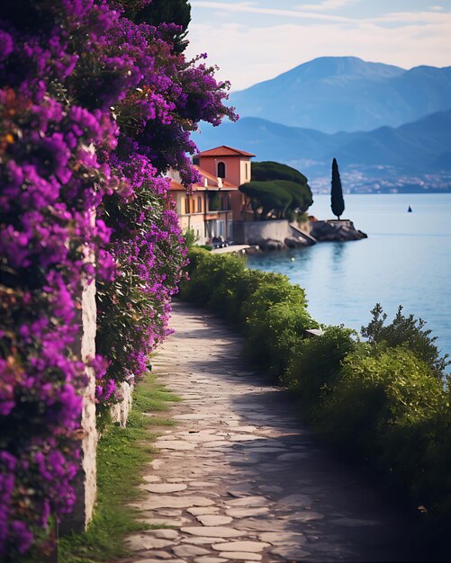 Foto camino con flores púrpuras a lo largo del lago