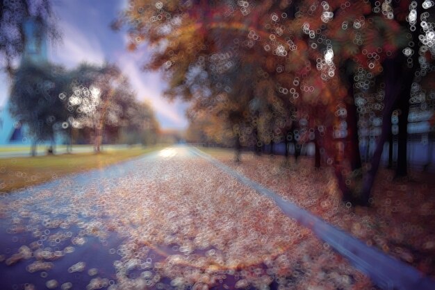 camino de fondo borroso en el parque de la ciudad de otoño