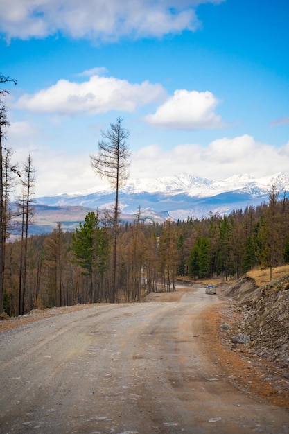 Camino en el fondo de hermosas montañas en spring forest altai rusia