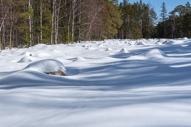 Camino forestal de invierno Nieve esponjosa que cubre las piedras hermosas sombras Fondo de invierno Viajes de invierno Deportes de invierno