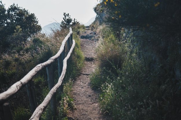 Camino forestal en las montañas. Camino del dios llamado Sentiero Degli Dei en la costa de Amalfi. Italia