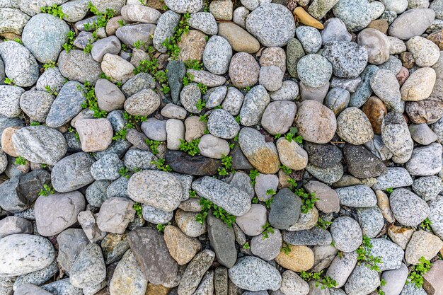 Foto camino de guijarros grandes rocas plantas verdes piedras coloridas guijarras como camino en las montañas