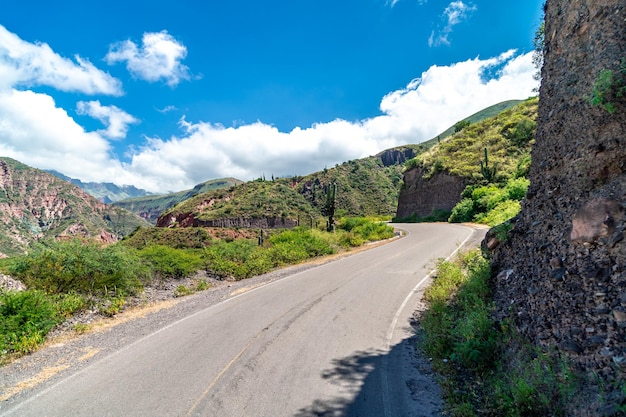 Camino en un hermoso paisaje de montaña