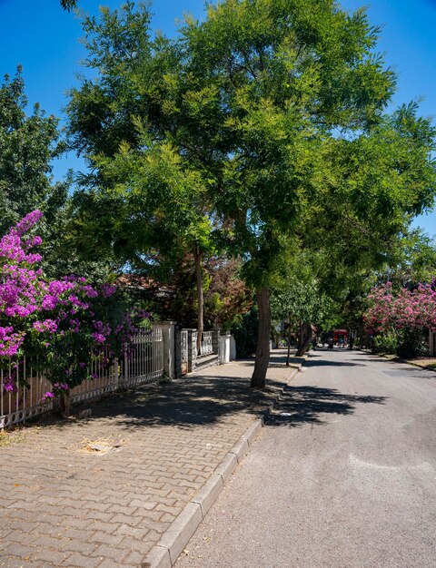 Un camino con hermosos jardines florecientes y vistas al mar de Mármara en las islas Adalar de Estambul