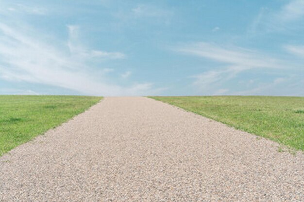 un camino con hierba verde y cielo azul