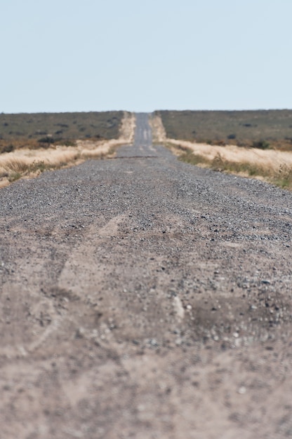 camino interminable en la patagonia argentina