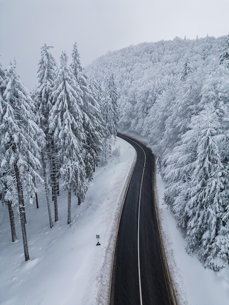 Camino de invierno en el bosque de las montañas