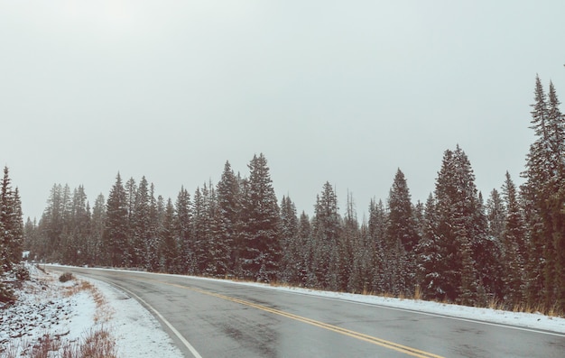 Camino de invierno en la ciudad