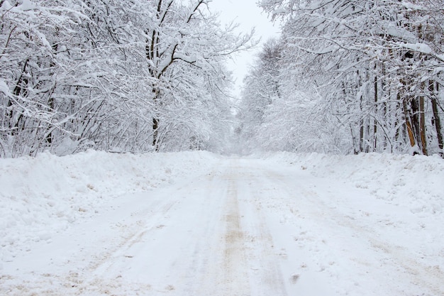 Camino de invierno después de las nevadas