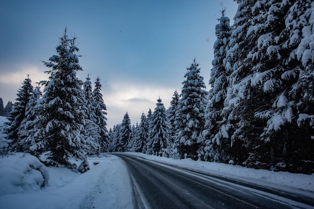 Camino de invierno en las montañas durante la tormenta