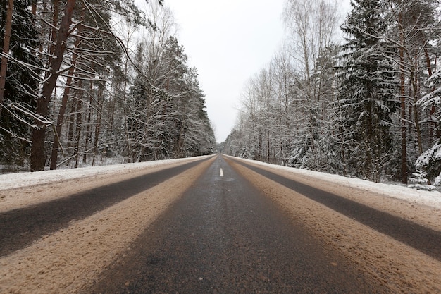 Camino en el invierno