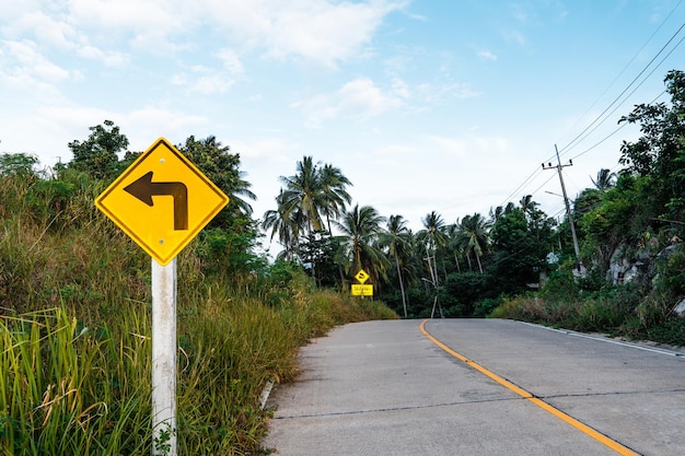 Camino de la isla y cocoteros.