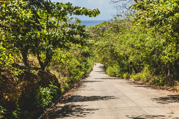 Camino a la Isla de San Andrés