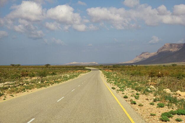 El camino en la isla de Socotra, Océano Índico, Yemen