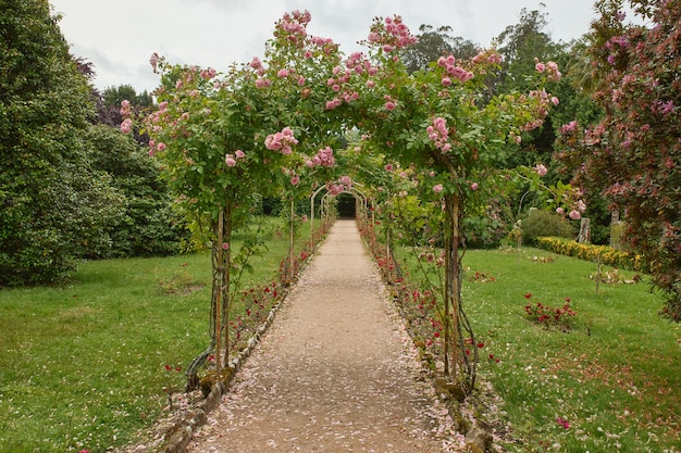 Camino de un jardín con túnel de rosas.