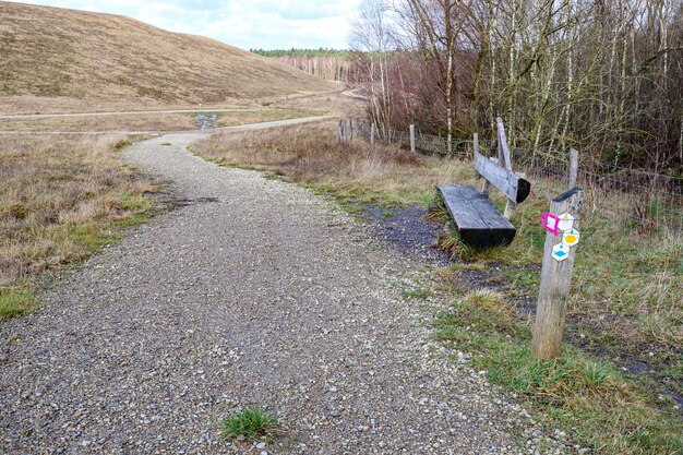 Foto camino entre la llanura del valle con banco de madera de hierba marrón seca y sendero de montaña en el fondo árboles desnudos parque thor parque nacional hoge kempen día nublado en genk bélgica