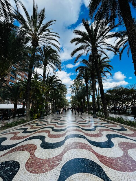 un camino lleno de historia y cultura el famoso paseo marítimo de Alicante