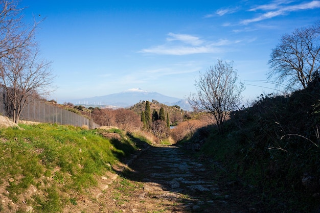 Camino a lo largo de las ruinas del casco antiguo en el sitio arqueológico de Morgantina, Sicilia