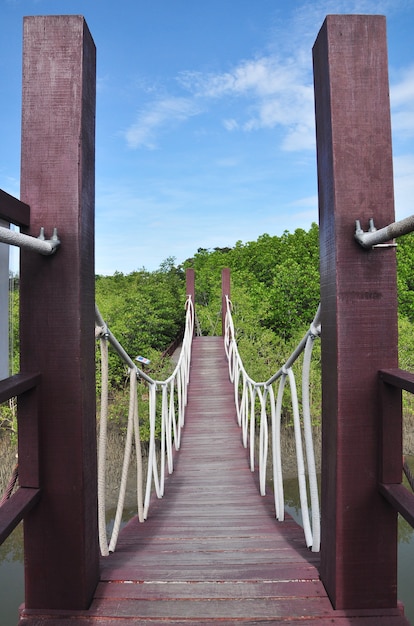 Foto camino de madera entre el bosque de manglar, tailandia