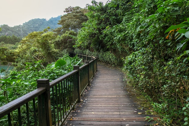 El camino de la madera para caminar en el lago Sun Moon en Taiwán